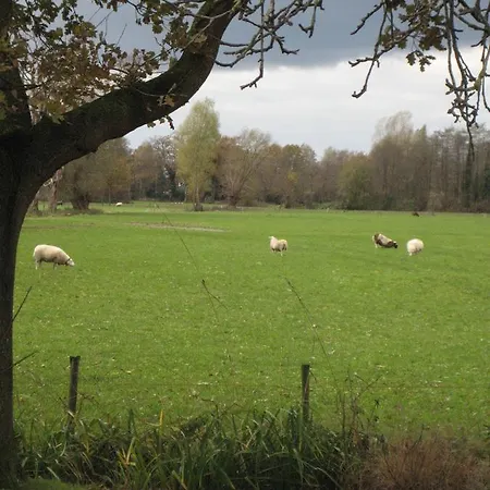 Bed & Breakfast De Ark