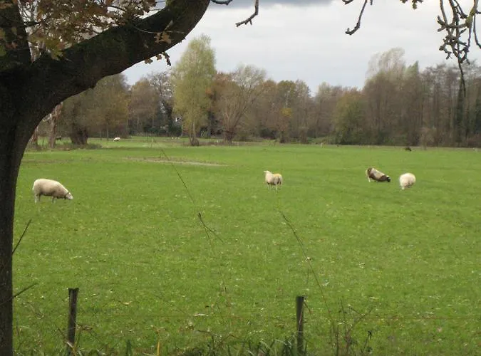 Nocleg ze śniadaniem De Ark