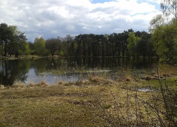 Bed & Breakfast De Ark